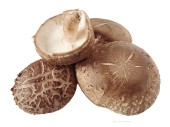 Φρέσκα Λεντινούλα (shiitake) culta terra